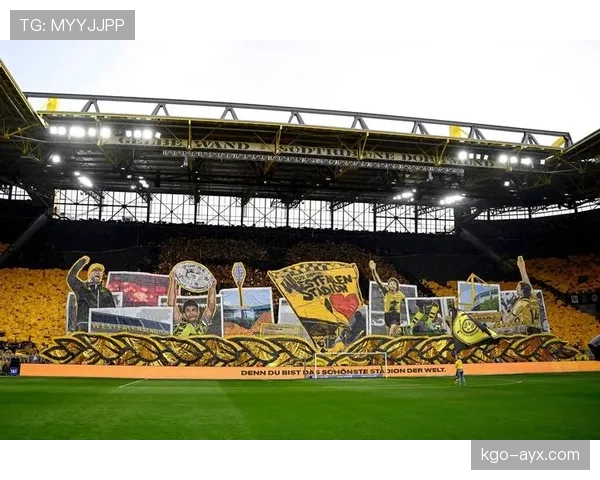 多特蒙德信号公园迎欧洲杯 球迷热情高涨期待精彩对决