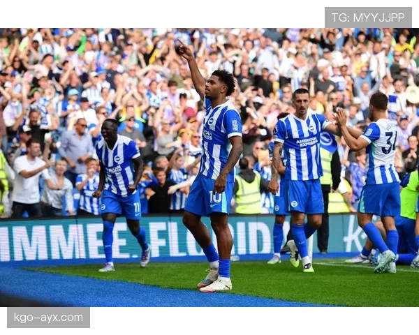 布莱顿状态火热冲击欧战资格,球迷期待值拉满 布莱顿状态火热冲击欧战资格,球迷期待值拉满